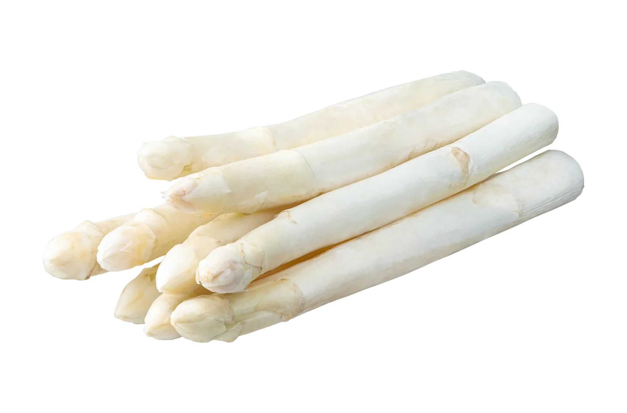 nos asperges