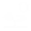 Cycle naturel.webp