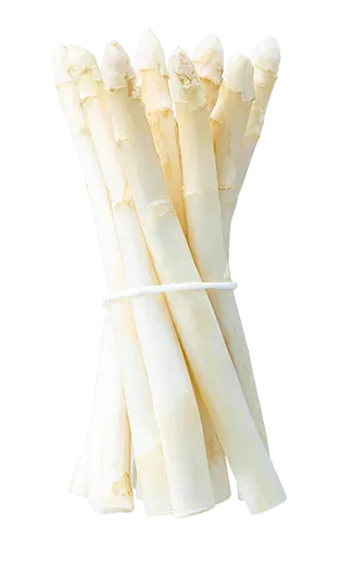 Asperges (1)